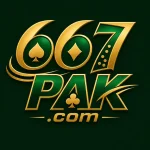 667Pak Game logo