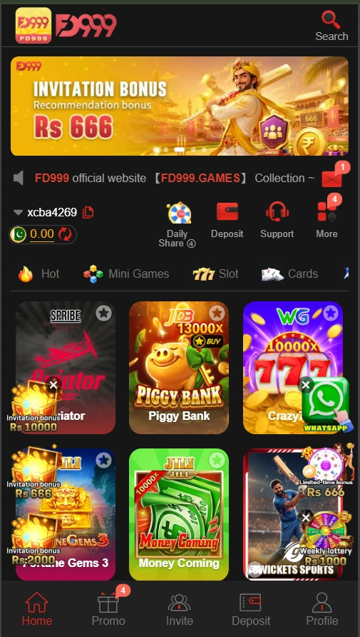 FD999 Game interface