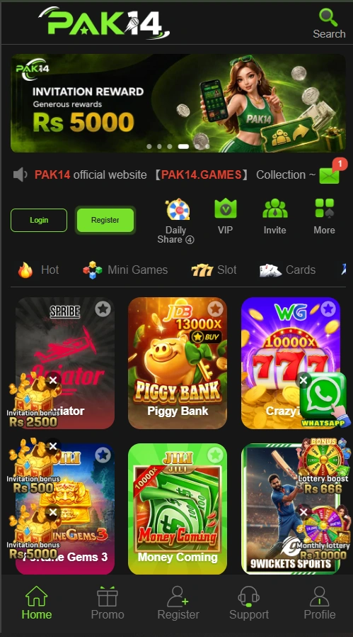 Pak14 Game interface