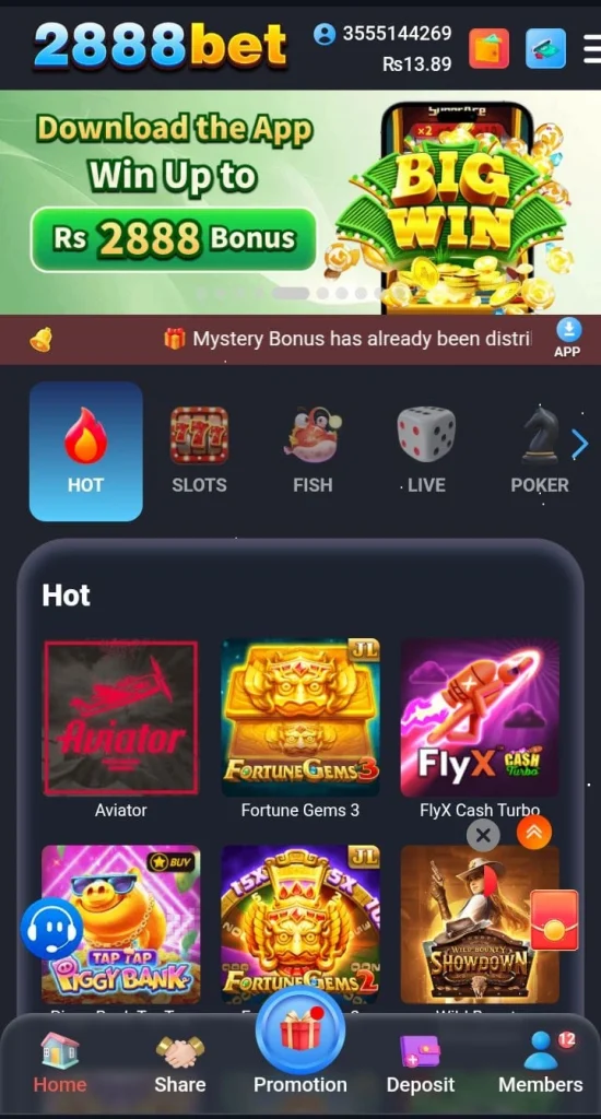 2888Pak Game interface