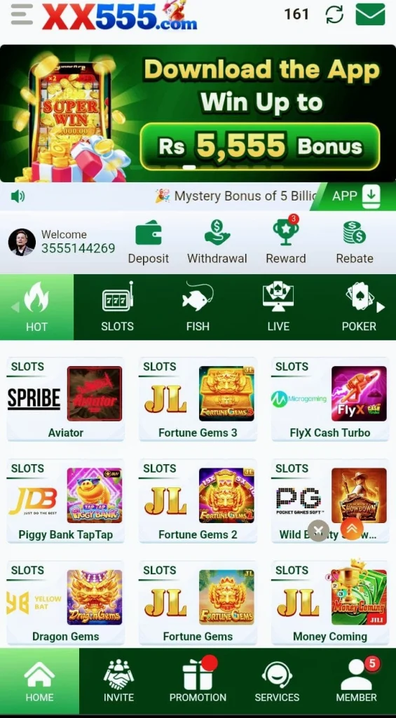 XX555 Game interface