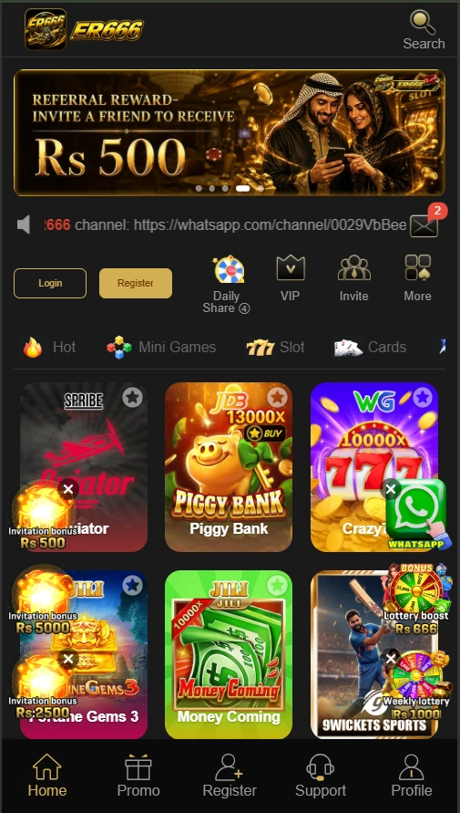 ER666 Game interface