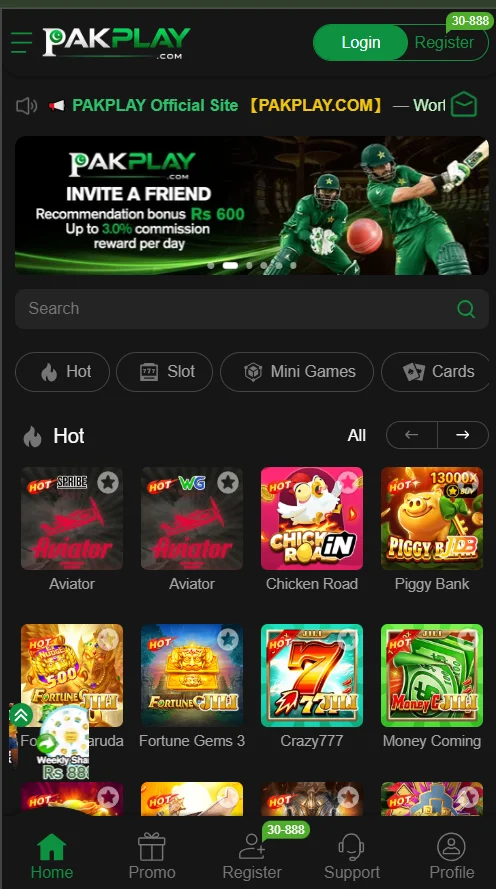 PakPlay Game interface